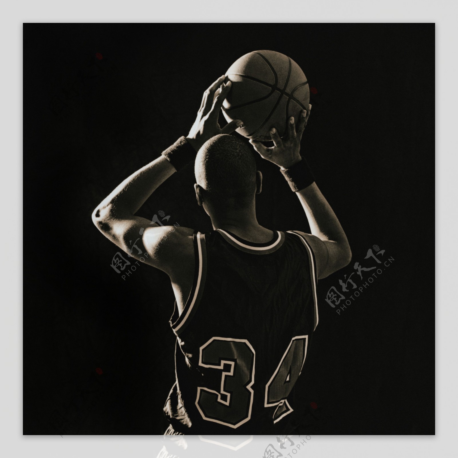 投身于羽毛 投身于羽毛