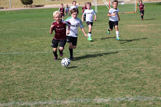 同样重要 同样重要