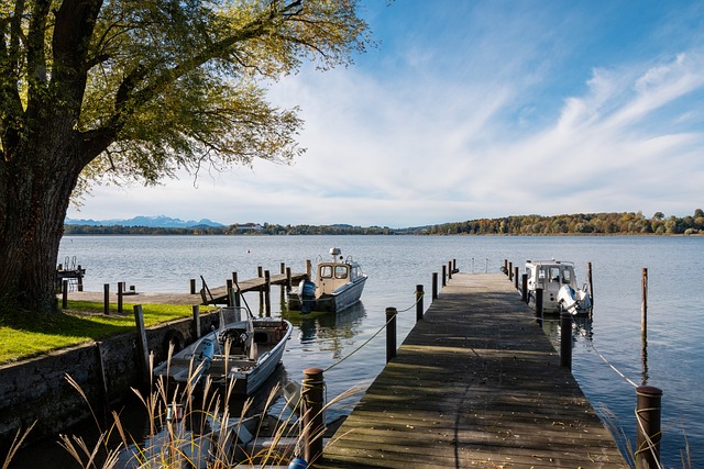 队长和老将 队长和老将