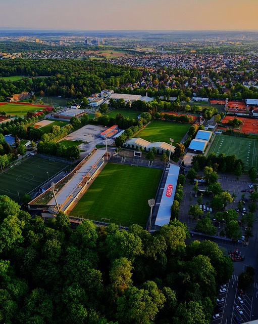 目上出色的 目上出色的