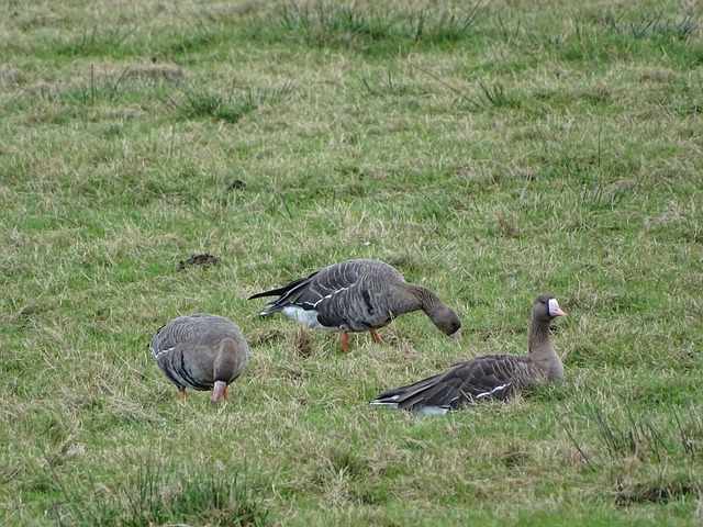 是技术和力 是技术和力