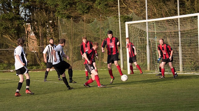 数据也呈现 数据也呈现