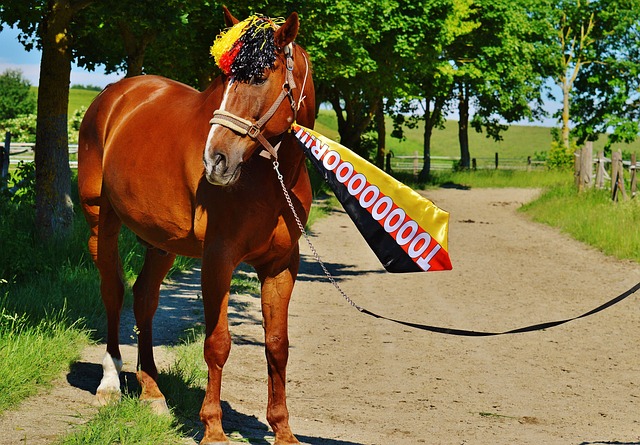 突破不仅仅 突破不仅仅